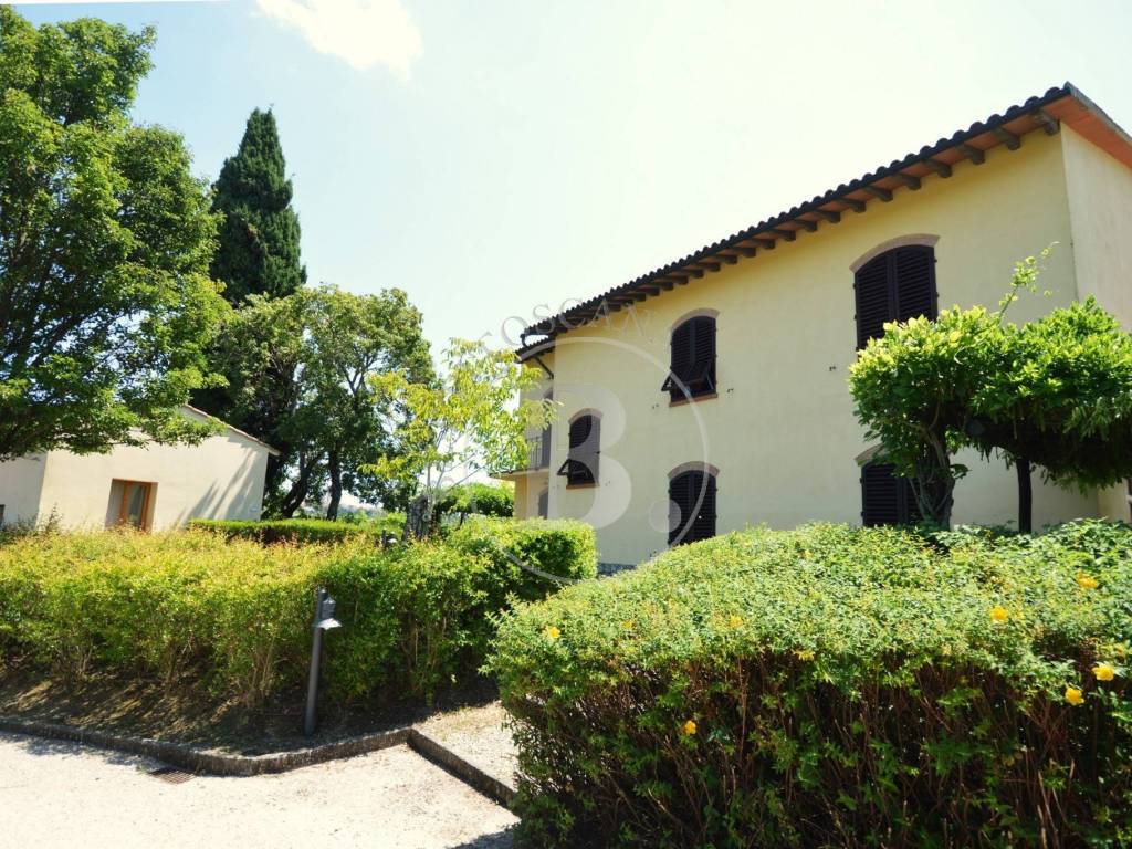 HOLIDAY FARM - San Gimignano (Si)