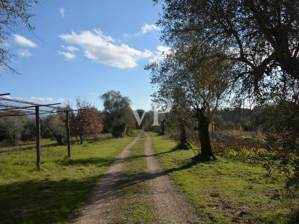 vista del viale di accesso