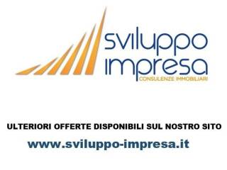 sviluppo impresa