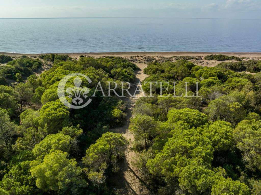 Ruderi con accesso al mare a Castagneto Carducci