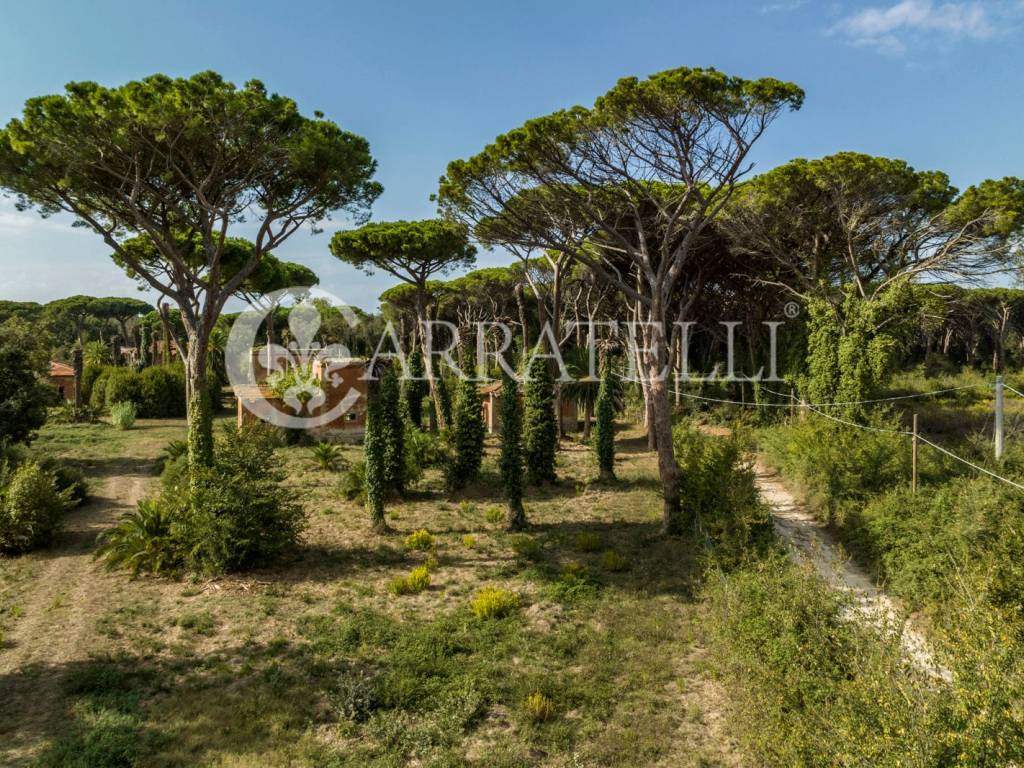 Ruderi con accesso al mare a Castagneto Carducci