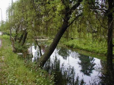 Fiume Botteniga