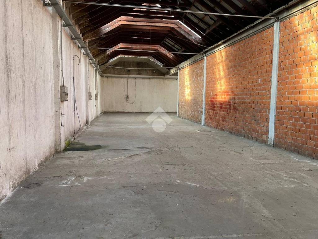 WhatsApp Image 2023-06-15 at 17.50.15