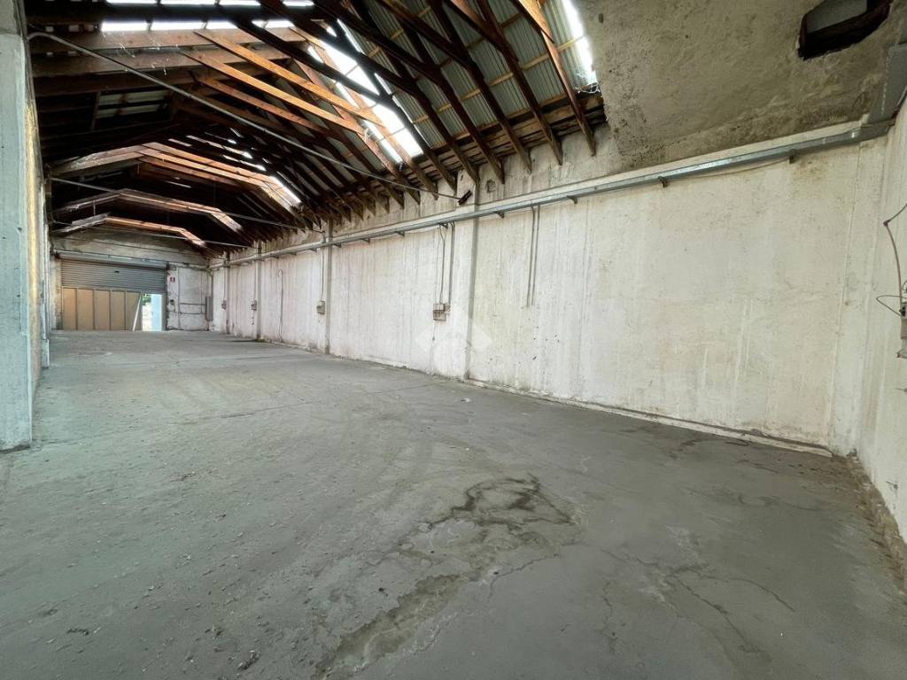 WhatsApp Image 2023-06-15 at 17.50.17 (1)