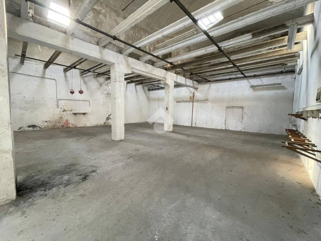 WhatsApp Image 2023-06-15 at 17.50.18 (1)