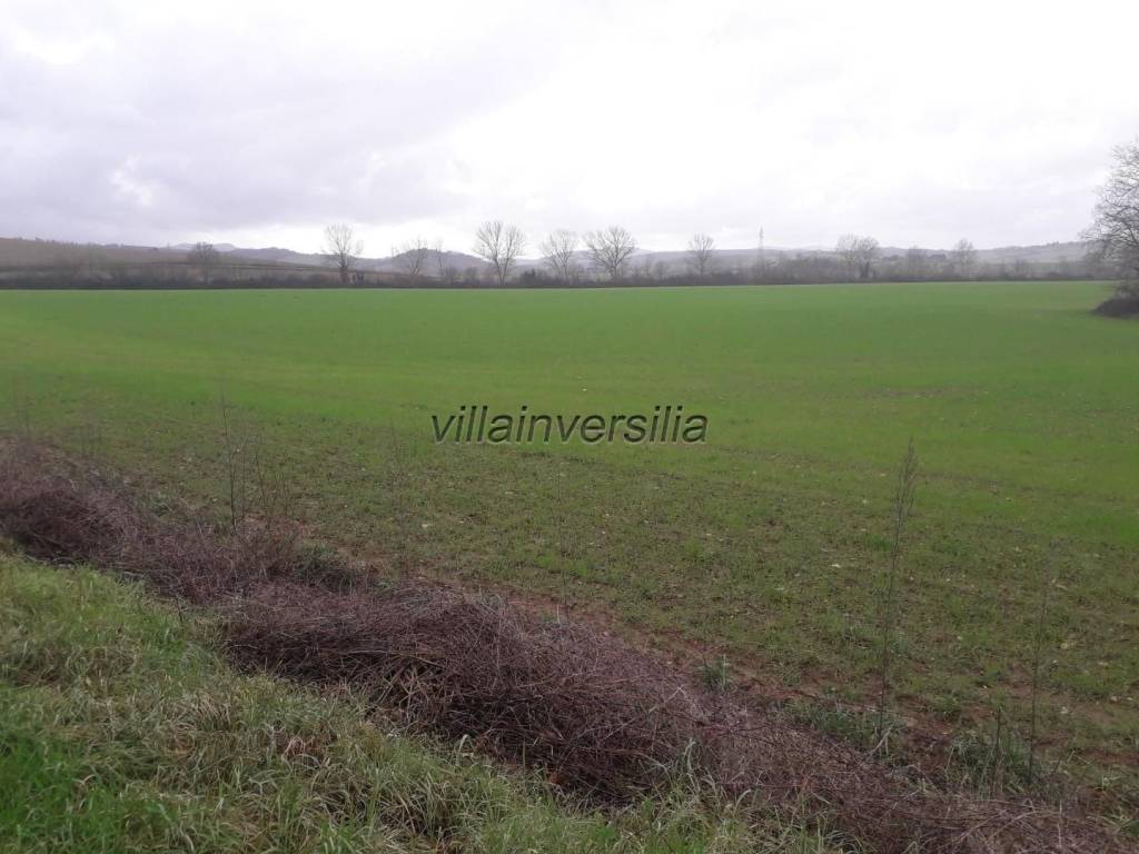 Terreno agricolo, monteriggioni