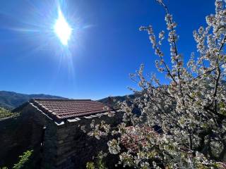 Foto - Vendita Rustico / Casale da ristrutturare, Triora, Riviera dei Fiori