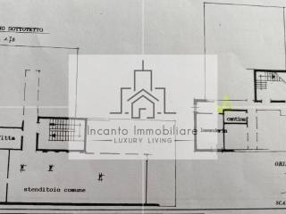 Planimetria Cantina + Soffitta