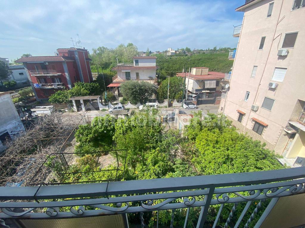 Vista su giardino