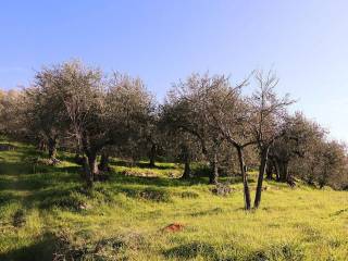 Dolceacqua-Liguria-plot-for-sale-le-46005-100