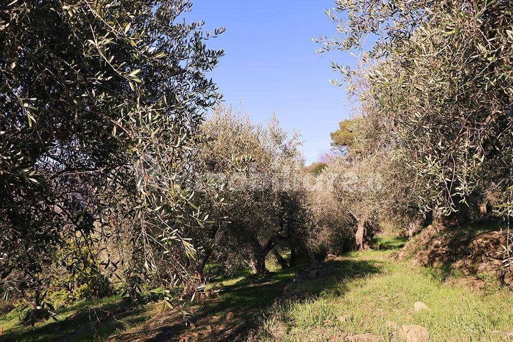 Dolceacqua-Liguria-plot-for-sale-le-46005-102