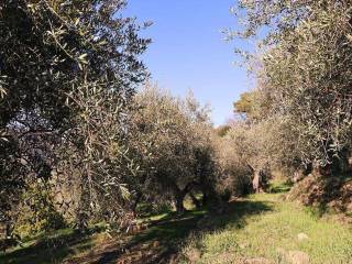 Dolceacqua-Liguria-plot-for-sale-le-46005-102