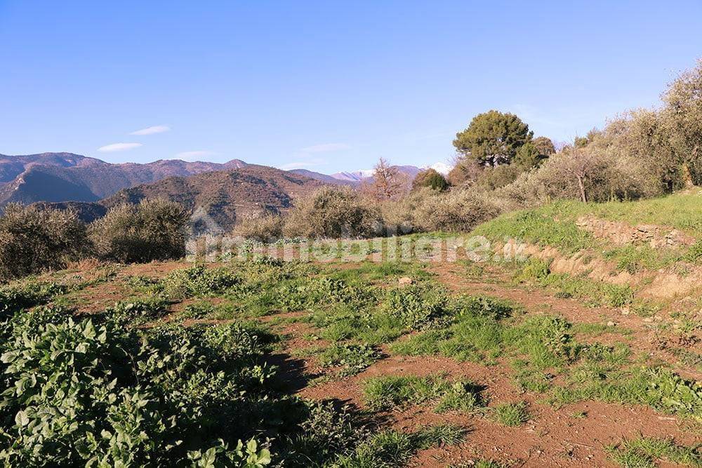 Dolceacqua-Liguria-plot-for-sale-le-46005-104