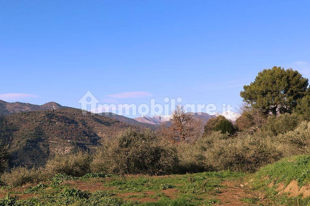 Dolceacqua-Liguria-plot-for-sale-le-46005-105