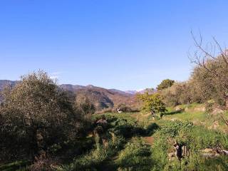 Dolceacqua-Liguria-plot-for-sale-le-46005-108