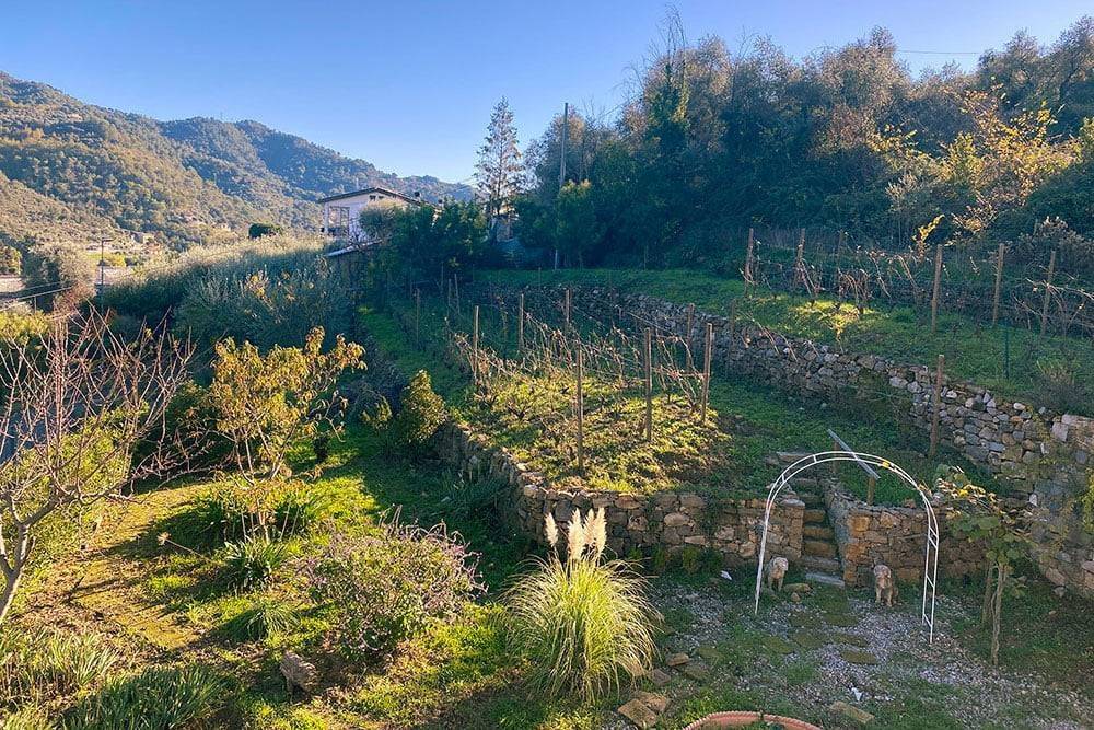 Dolceacqua-Liguria-villa-for-sale-le-46003-111