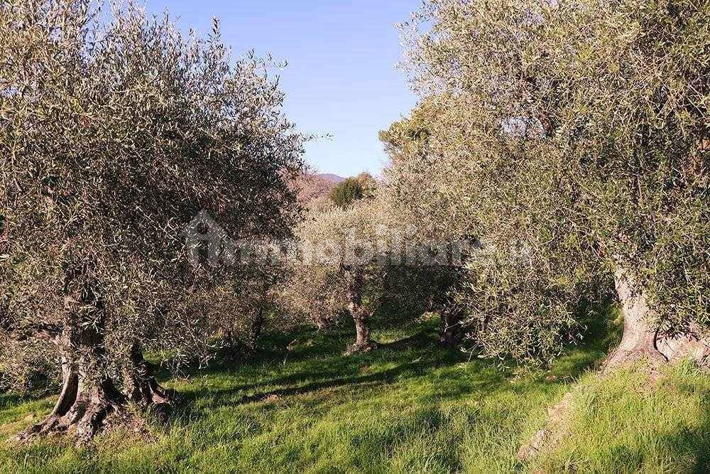 Dolceacqua-Liguria-cottage-for-sale-le-46004-111