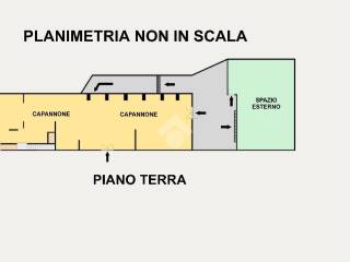 PLANIMETRIA NON IN SCALA