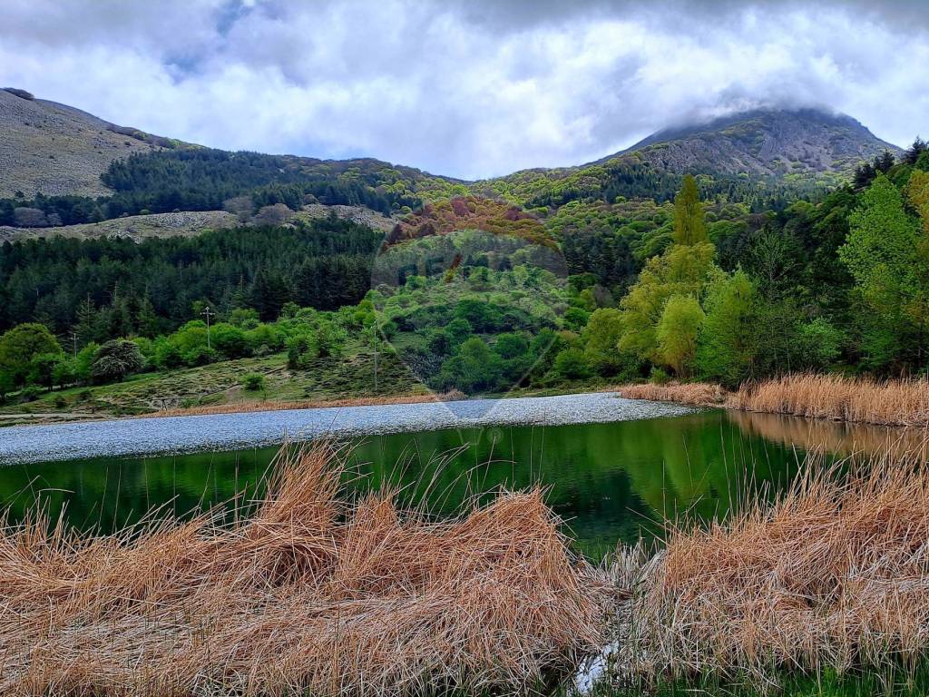 Laghetto di Mandria del Conte