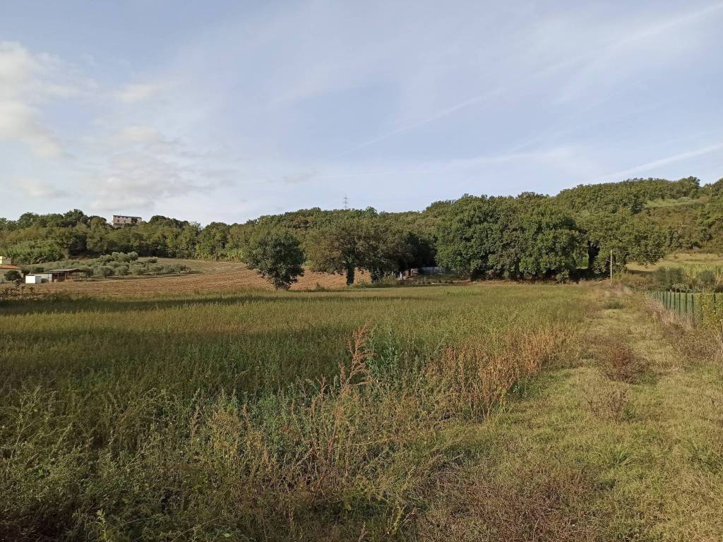 Terreno agricolo via mario villani, centro, orte