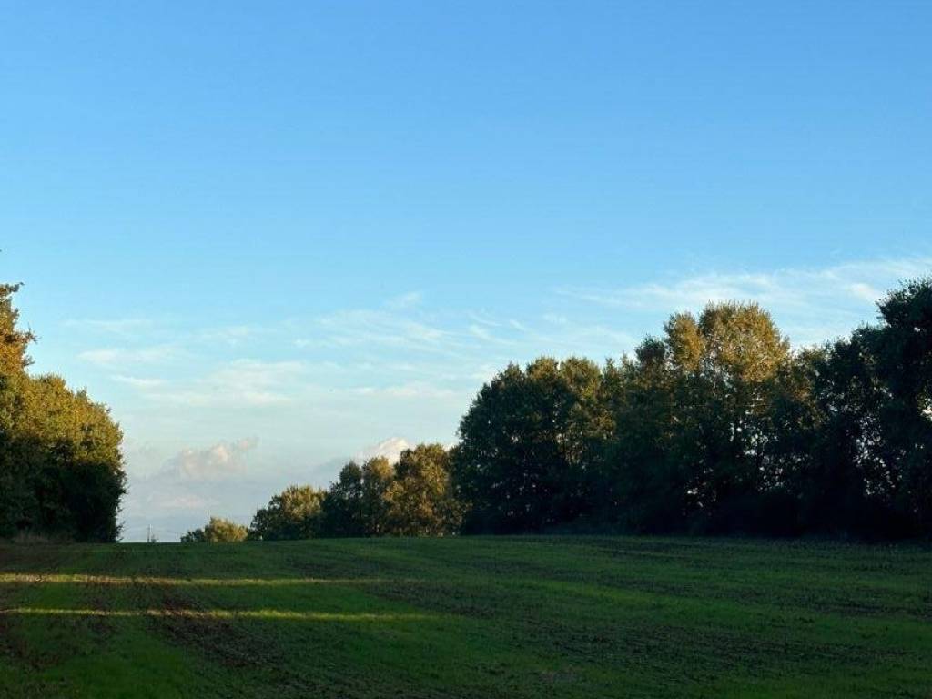 Terreno agricolo via potignone, bassano in teverina