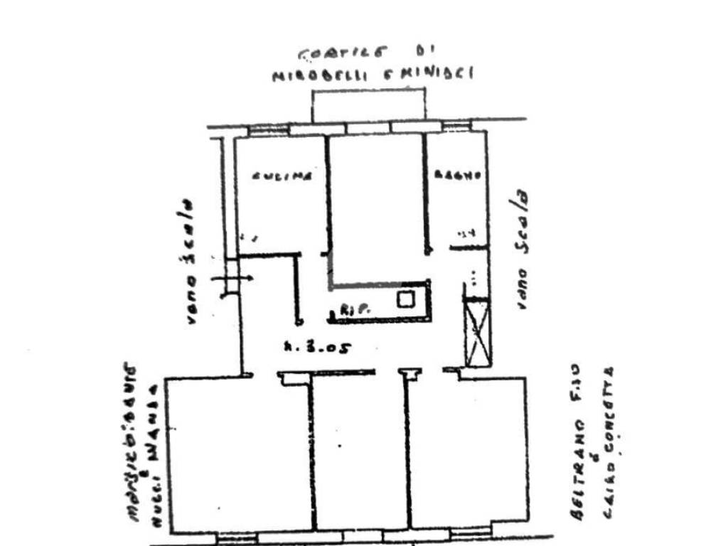 PLANIMETRIA CAROLEI.48