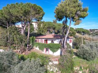 Foto - Vendita villa con giardino, Montescudaio, Maremma e Argentario