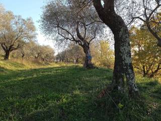 IMG-20211207-WA0017.jpg