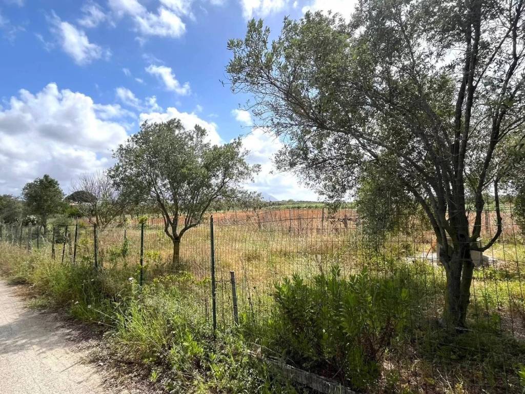 Terreno agricolo contrada cassarà, partinico