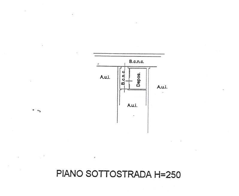 Planimetria cantina