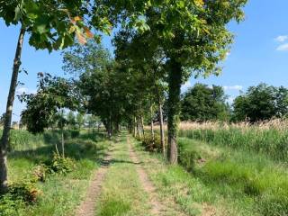 terreno agricolo parco del ticino