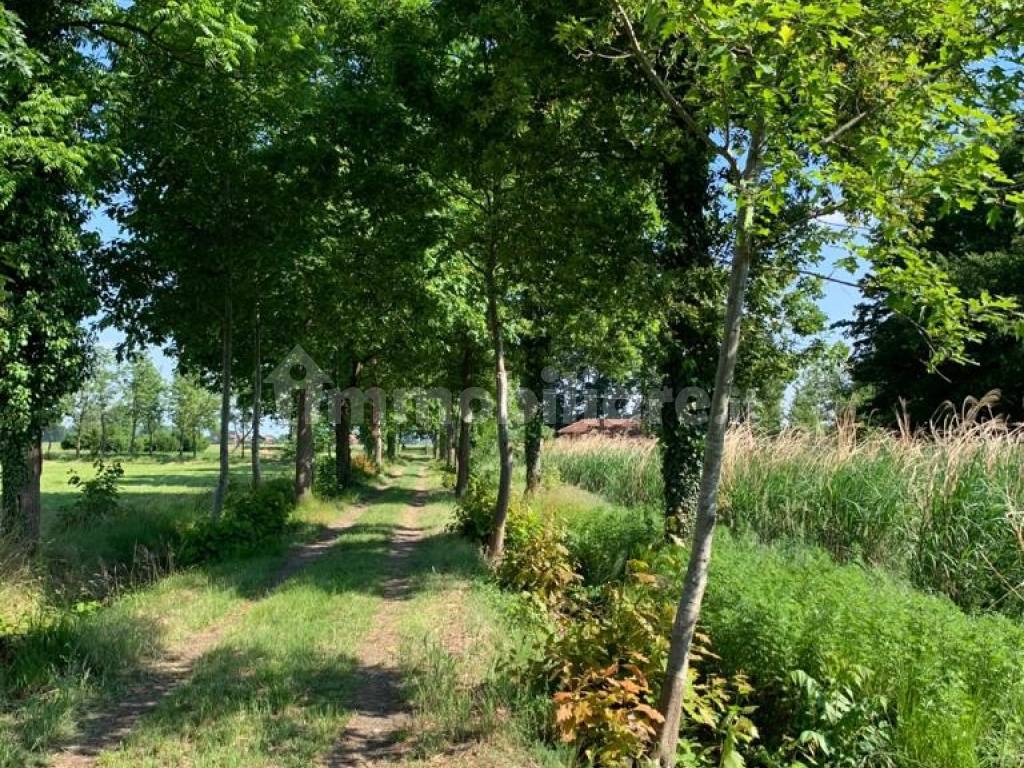 terreno agricolo parco del ticino