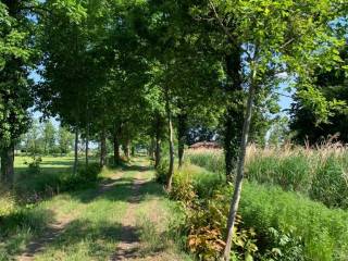 terreno agricolo parco del ticino