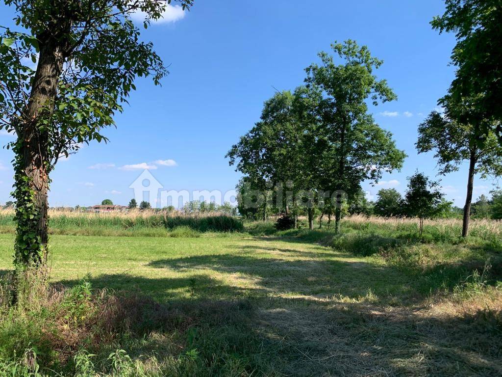 terreno agricolo parco del ticino