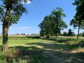 terreno agricolo parco del ticino