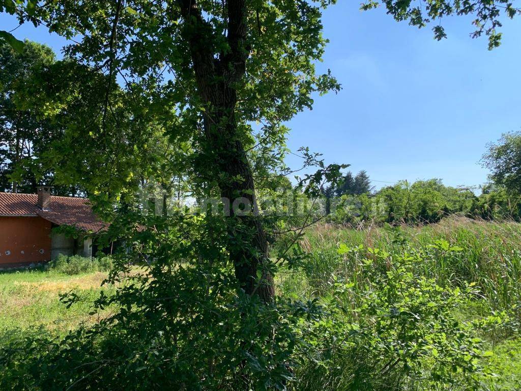 terreno agricolo parco del ticino