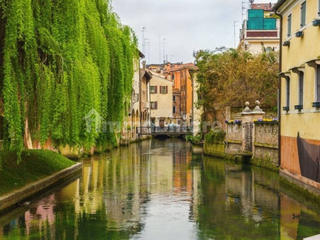 Treviso