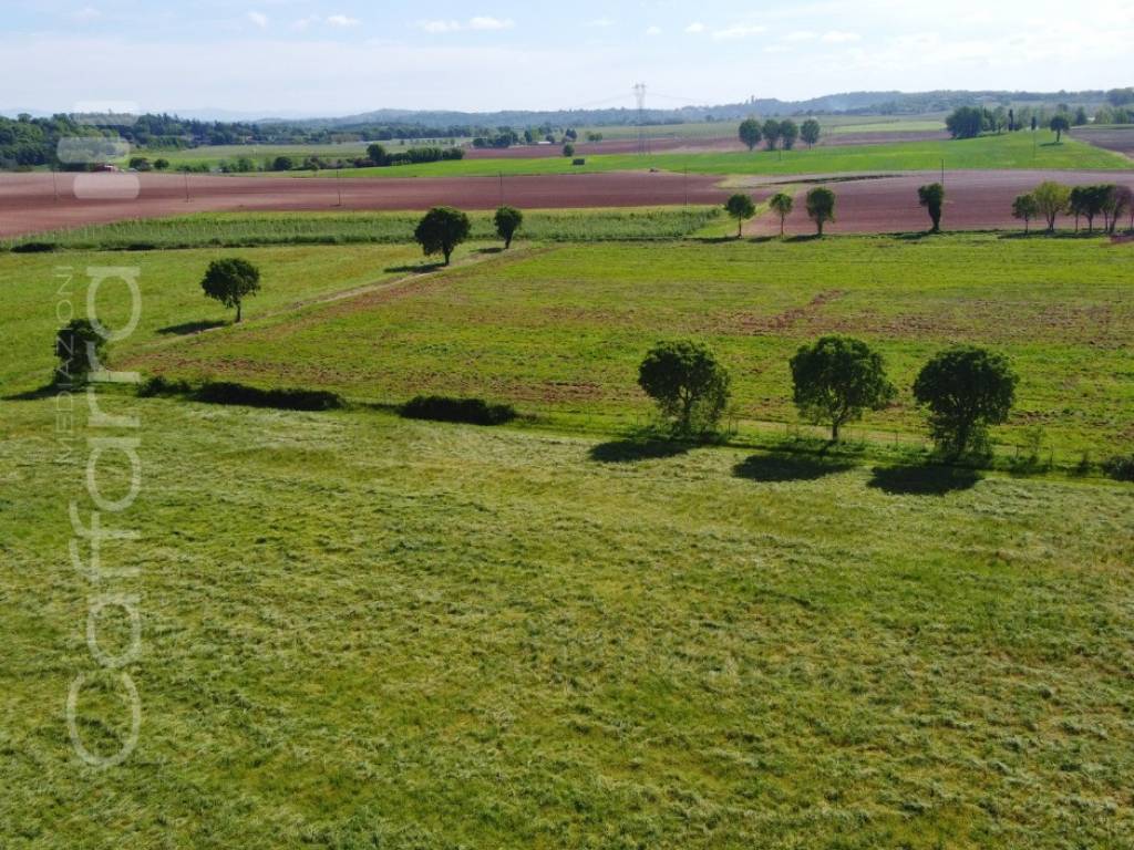 Terreno agricolo