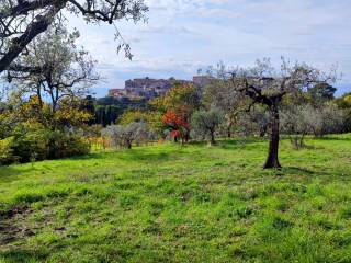 terreno edificabile umbria lugnano (2).jpg