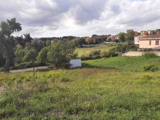 IMG-20221018-WA0104.jpg