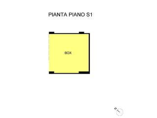 Pianta box
