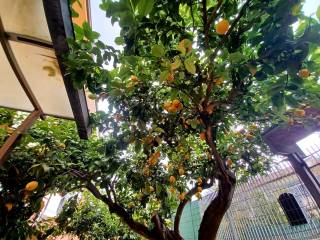 Foto - Vendita villetta con giardino, Settimo San Pietro, Costa Sud Sardegna