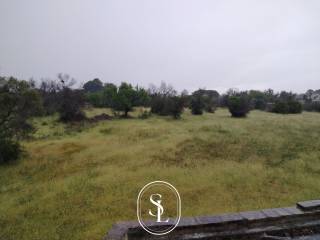 Foto - Si vende Rustico / Casale, Salento, 21843 m² a Galatina