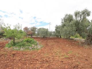 Pregio Immobiliare Ostuni