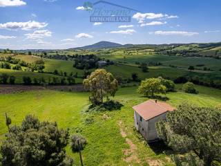 Foto - Vendita villa con giardino, Capalbio, Maremma e Argentario