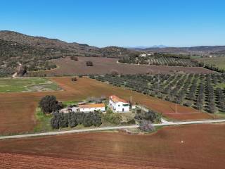 tenuta ansedonia giardino bosco casale  12