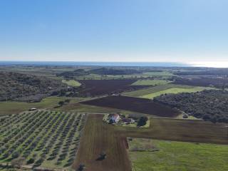 tenuta ansedonia giardino bosco casale  4