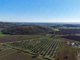 tenuta ansedonia giardino bosco casale  6