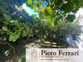 dji_20240407_163550_621