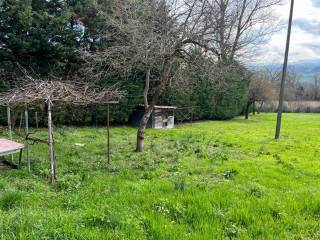 terreno e giardino 